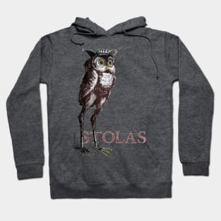 Stolas - High Priest of Hell Hoodie